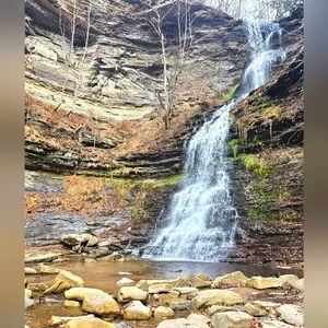 Meet your Posher, Carrie